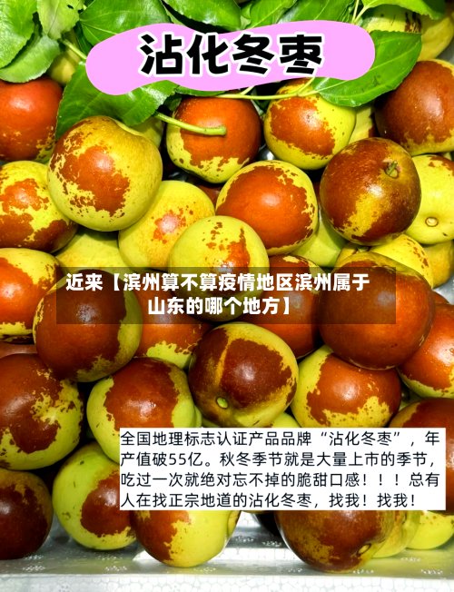 近来【滨州算不算疫情地区滨州属于山东的哪个地方】-第3张图片