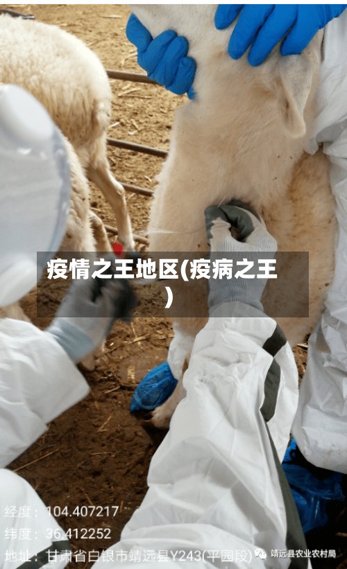 疫情之王地区(疫病之王)