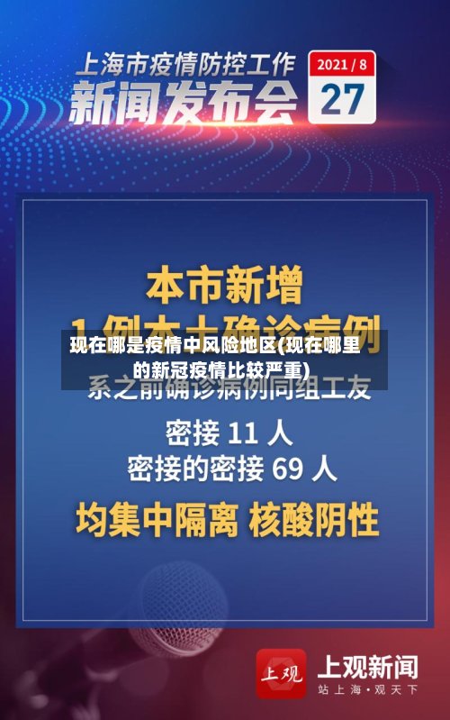 现在哪是疫情中风险地区(现在哪里的新冠疫情比较严重)-第2张图片