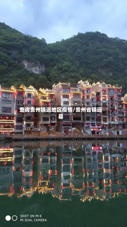 查询贵州镇远地区疫情/贵州省镇远县