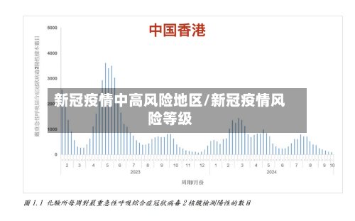 新冠疫情中高风险地区/新冠疫情风险等级-第2张图片