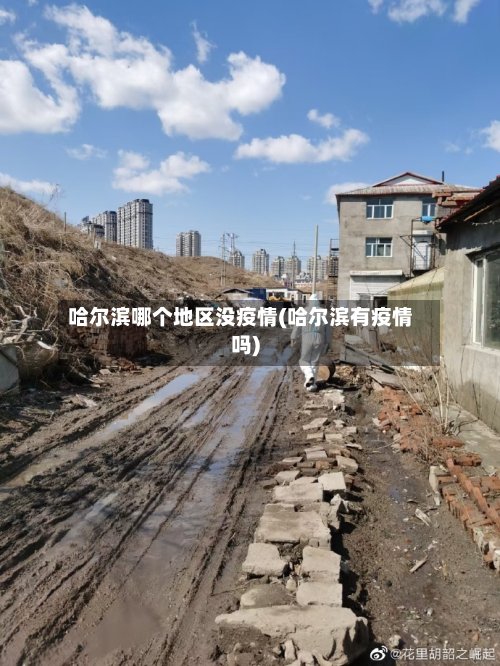 哈尔滨哪个地区没疫情(哈尔滨有疫情吗)