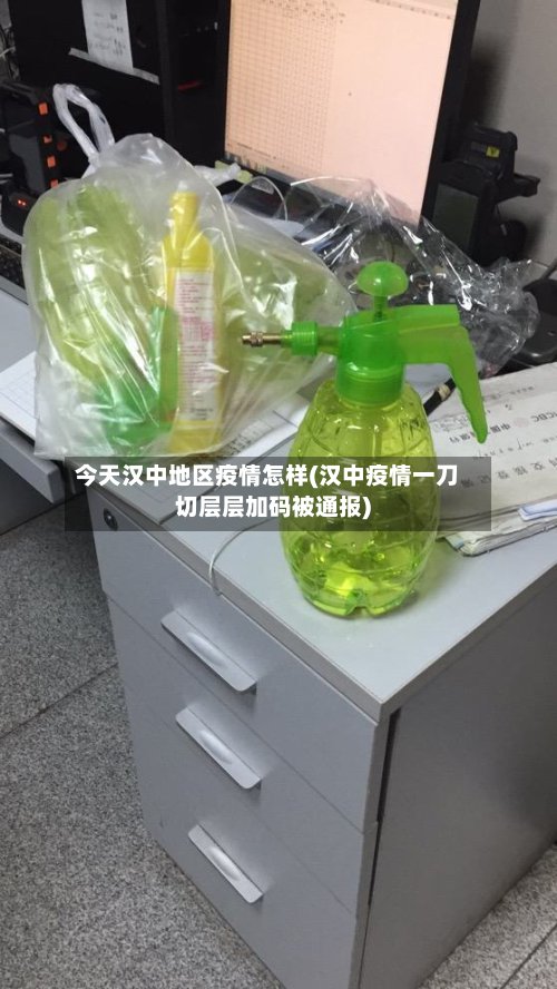 今天汉中地区疫情怎样(汉中疫情一刀切层层加码被通报)-第3张图片