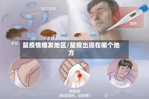 鼠疫情爆发地区/鼠疫出现在哪个地方