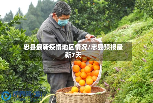 忠县最新疫情地区情况/忠县预报最新7天-第3张图片