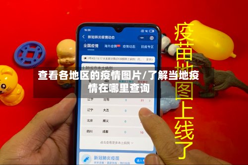 查看各地区的疫情图片/了解当地疫情在哪里查询