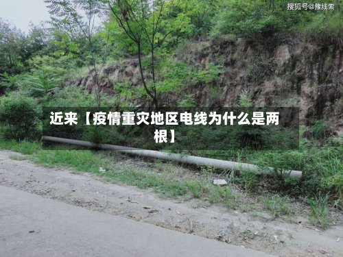 近来【疫情重灾地区电线为什么是两根】-第3张图片