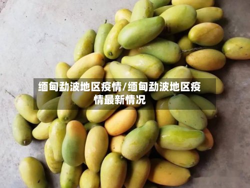 缅甸勐波地区疫情/缅甸勐波地区疫情最新情况-第2张图片