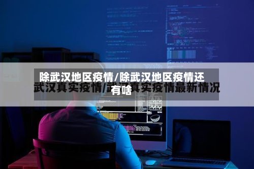 除武汉地区疫情/除武汉地区疫情还有啥