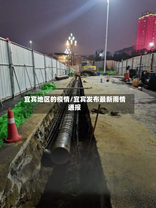 宜宾地区的疫情/宜宾发布最新雨情通报-第3张图片