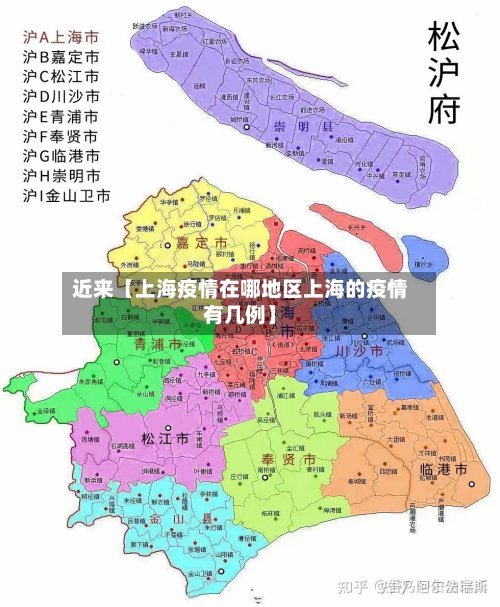 近来【上海疫情在哪地区上海的疫情有几例】-第2张图片