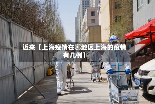 近来【上海疫情在哪地区上海的疫情有几例】-第3张图片