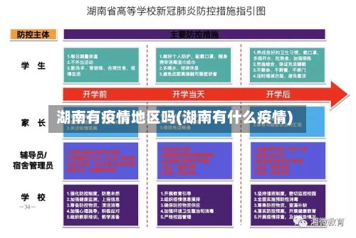 湖南有疫情地区吗(湖南有什么疫情)-第2张图片