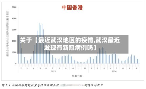 关于【最近武汉地区的疫情,武汉最近发现有新冠病例吗】