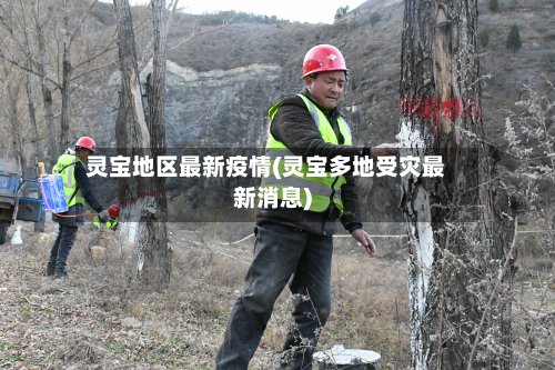 灵宝地区最新疫情(灵宝多地受灾最新消息)-第3张图片