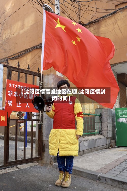 【沈阳疫情高峰地区在哪,沈阳疫情封闭时间】-第2张图片