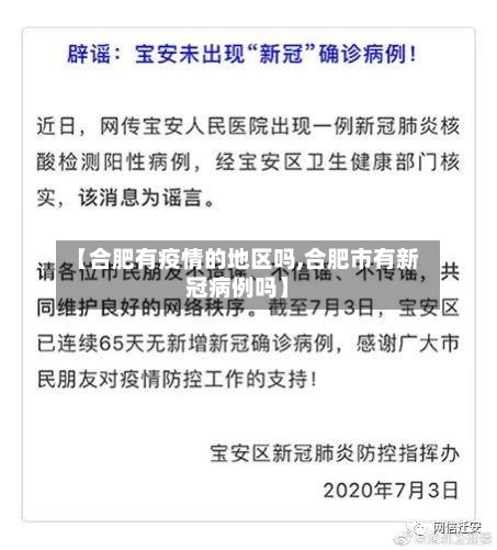 【合肥有疫情的地区吗,合肥市有新冠病例吗】-第3张图片