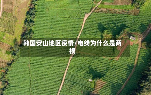 韩国安山地区疫情/电线为什么是两根-第2张图片