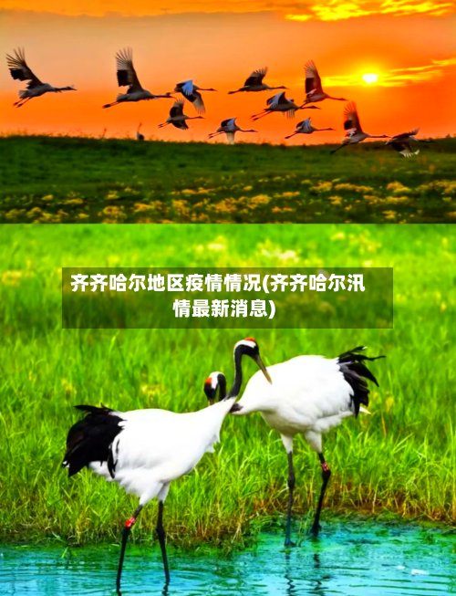 齐齐哈尔地区疫情情况(齐齐哈尔汛情最新消息)-第2张图片