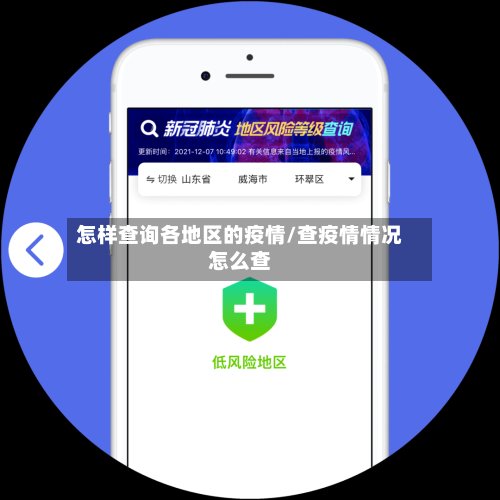 怎样查询各地区的疫情/查疫情情况怎么查-第2张图片