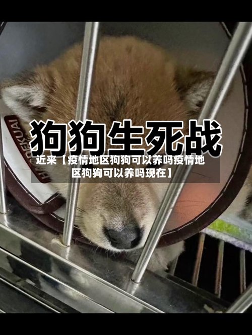 近来【疫情地区狗狗可以养吗疫情地区狗狗可以养吗现在】-第3张图片