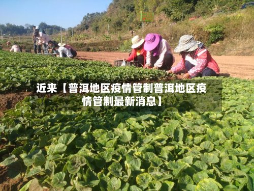 近来【普洱地区疫情管制普洱地区疫情管制最新消息】