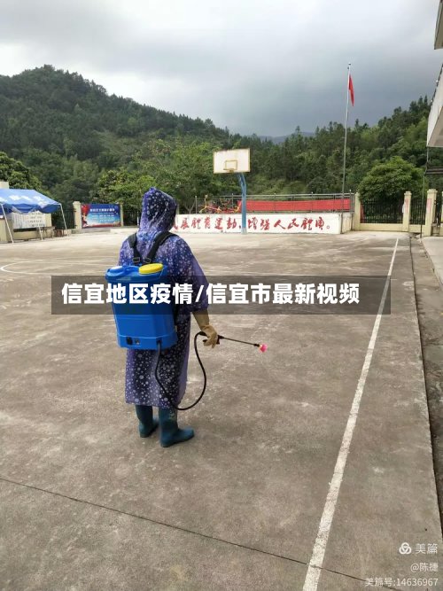 信宜地区疫情/信宜市最新视频-第2张图片