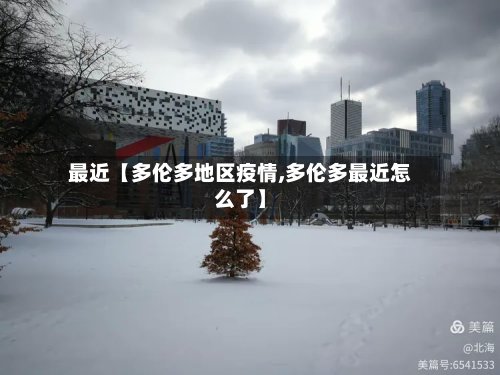 最近【多伦多地区疫情,多伦多最近怎么了】-第2张图片