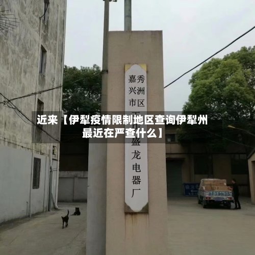 近来【伊犁疫情限制地区查询伊犁州最近在严查什么】