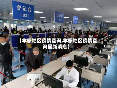 【孝感地区疫情查询,孝感地区疫情查询最新消息】-第3张图片