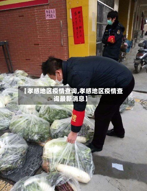 【孝感地区疫情查询,孝感地区疫情查询最新消息】-第2张图片