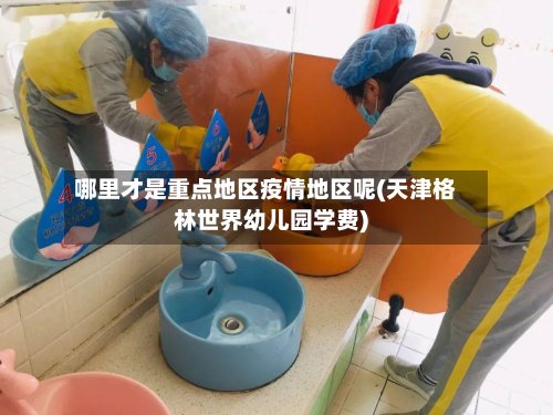 哪里才是重点地区疫情地区呢(天津格林世界幼儿园学费)-第3张图片