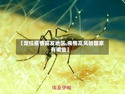 【定位疫情高发地区,疫情高风险国家有哪些】