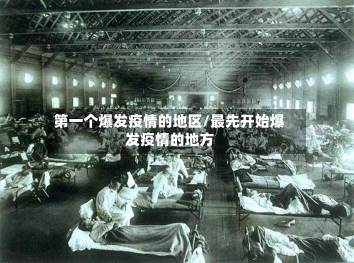 第一个爆发疫情的地区/最先开始爆发疫情的地方