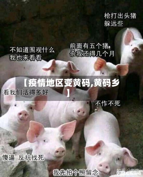 【疫情地区变黄码,黄码乡】