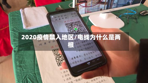 2020疫情禁入地区/电线为什么是两根