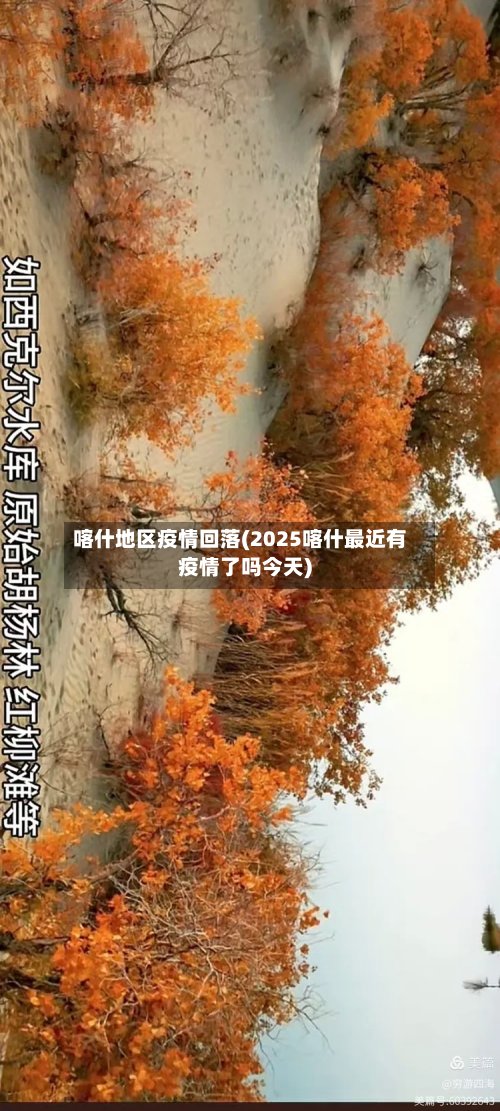 喀什地区疫情回落(2025喀什最近有疫情了吗今天)-第3张图片