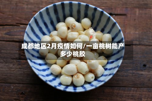 成都地区2月疫情如何/一亩桃树能产多少桃胶-第2张图片