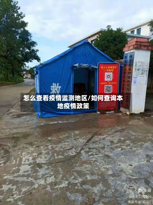 怎么查看疫情监测地区/如何查询本地疫情政策
