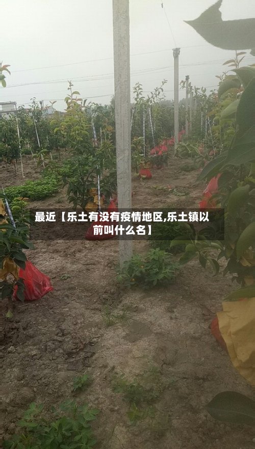 最近【乐土有没有疫情地区,乐土镇以前叫什么名】
