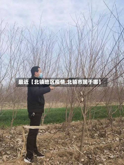 最近【北镇地区疫情,北镇市属于哪】