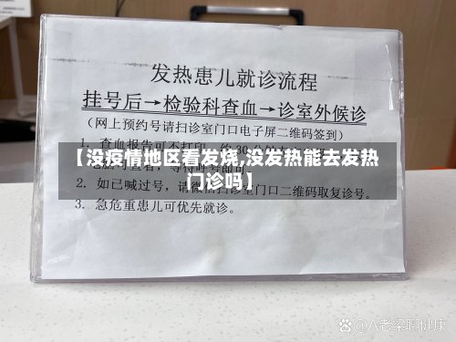 【没疫情地区看发烧,没发热能去发热门诊吗】