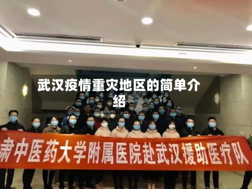 武汉疫情重灾地区的简单介绍-第3张图片