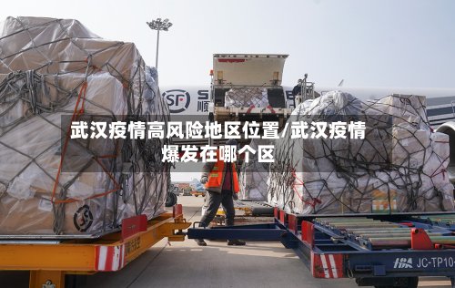 武汉疫情高风险地区位置/武汉疫情爆发在哪个区