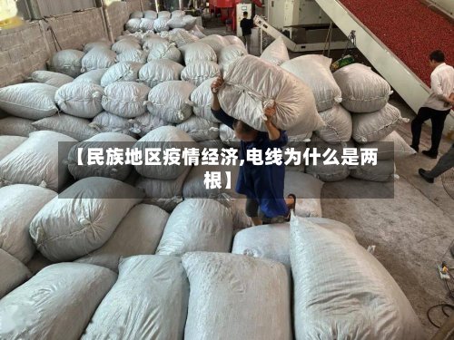 【民族地区疫情经济,电线为什么是两根】-第2张图片
