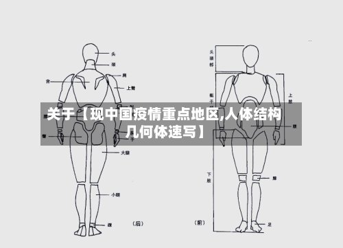 关于【现中国疫情重点地区,人体结构几何体速写】-第2张图片