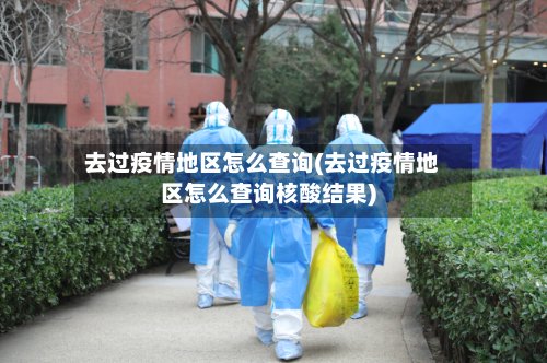 去过疫情地区怎么查询(去过疫情地区怎么查询核酸结果)