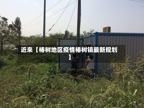 近来【椿树地区疫情椿树镇最新规划】-第3张图片