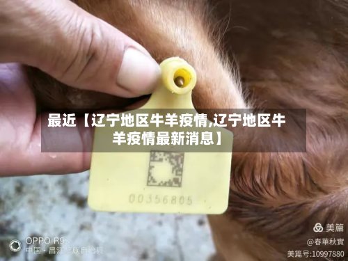 最近【辽宁地区牛羊疫情,辽宁地区牛羊疫情最新消息】-第3张图片