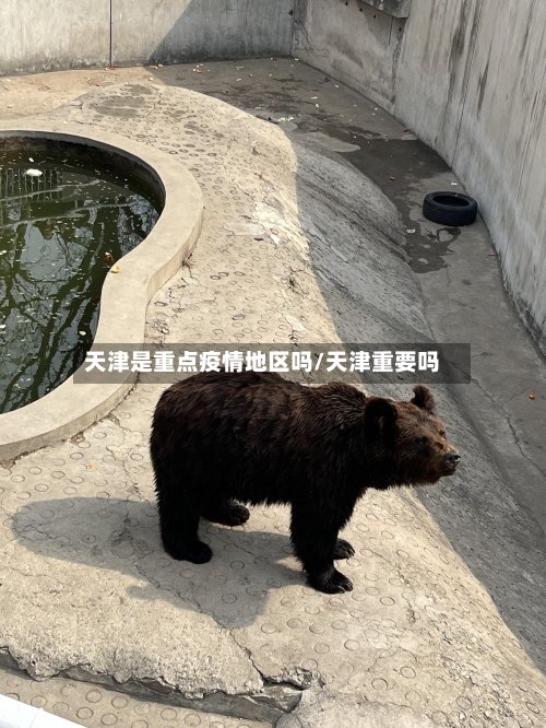 天津是重点疫情地区吗/天津重要吗